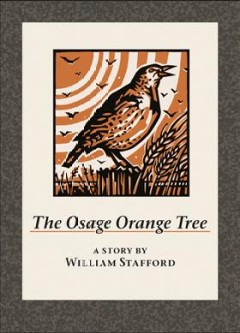 The Osage orange tree : a story  Cover Image