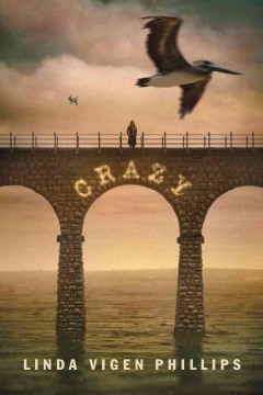 Crazy  Cover Image