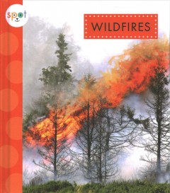 Wildfires  Cover Image