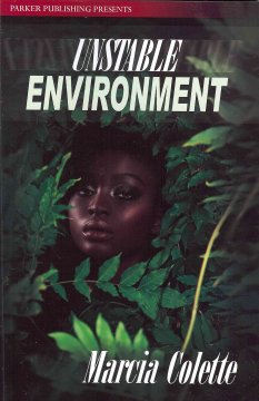 Unstable environment  Cover Image