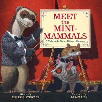 Meet the mini-mammals : a night at the natural history museum Book cover