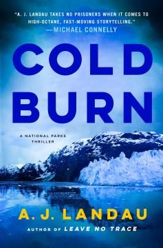Cold burn Book cover
