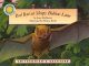 Go to record Red bat at Sleepy Hollow Lane