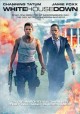 Go to record White House down