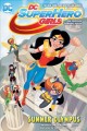Go to record DC super hero girls. 3, Summer Olympus : an original graph...