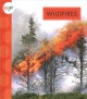 Go to record Wildfires