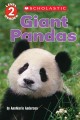 Go to record Giant pandas