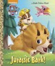 Go to record Paw Patrol: Jurassic Bark!