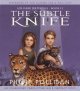 Go to record The subtle knife