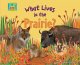 Go to record What lives in the Prairie?