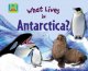 Go to record What lives in the Antarctica?