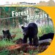 Go to record Forest animals