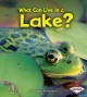 Go to record What can live in a lake?