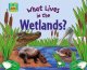 Go to record What lives in the wetlands?